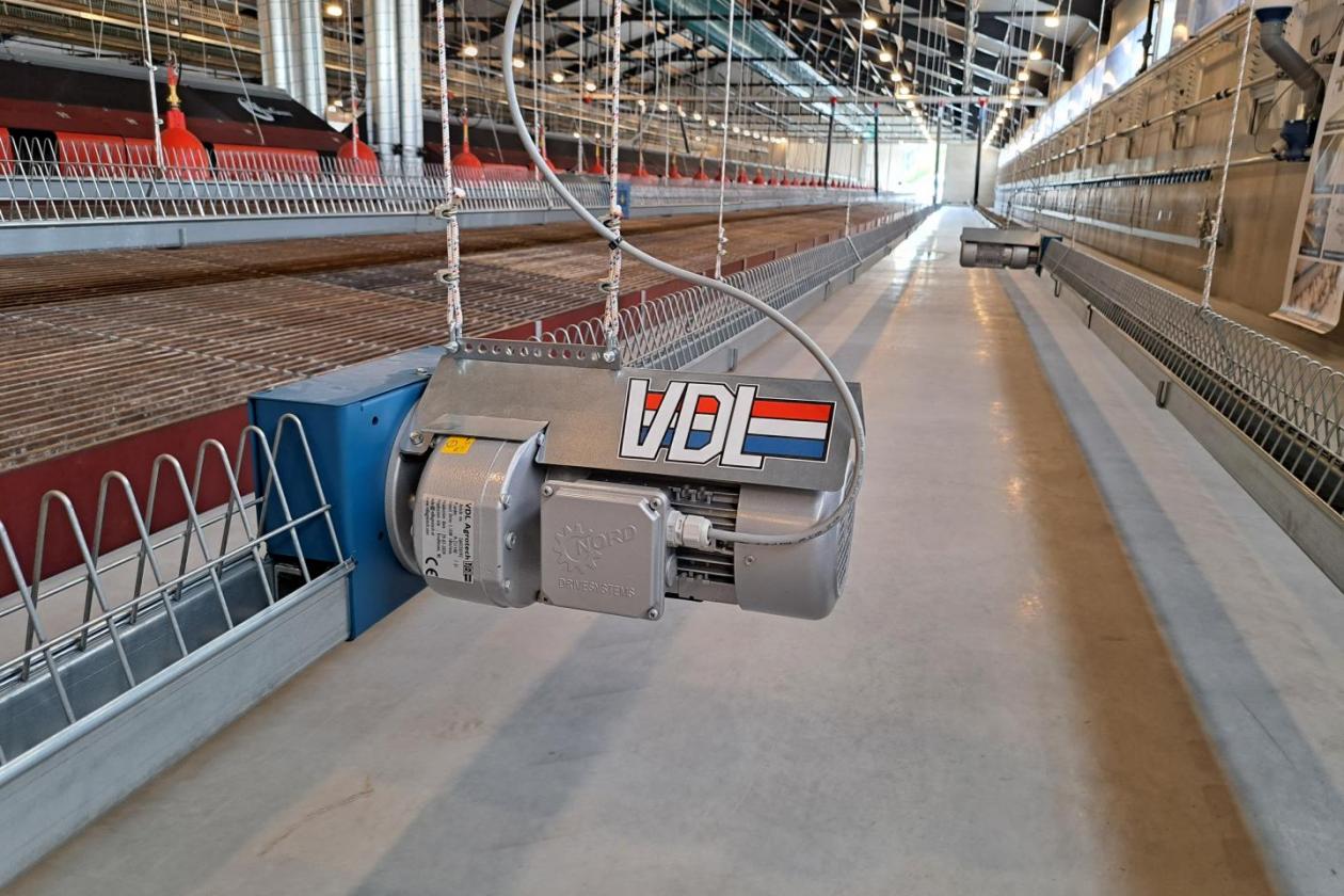 Modern Broiler Breeders farm in the Netherlands